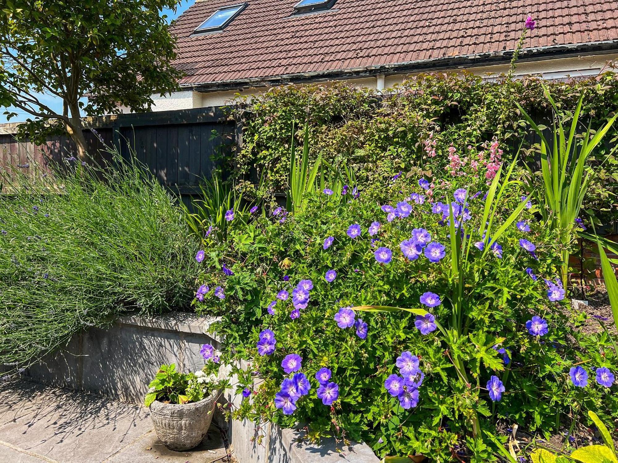 Cwtch Cottage Cardiff Luaran gambar